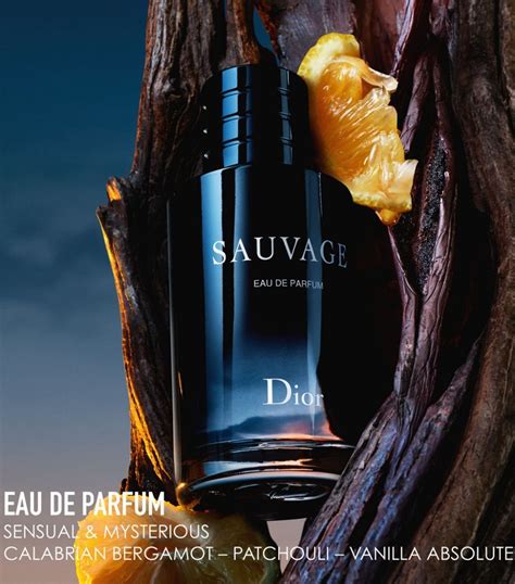 sauvage dior reggio emilia